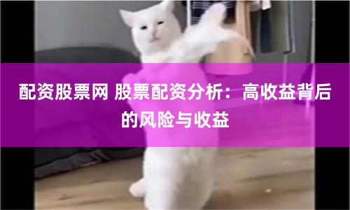 配资股票网 股票配资分析：高收益背后的风险与收益