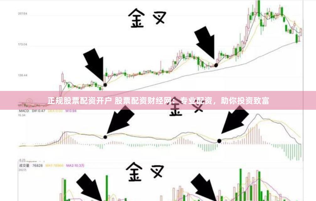 正规股票配资开户 股票配资财经网：专业配资，助你投资致富