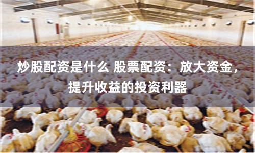 炒股配资是什么 股票配资:放大资金,提升收益的投资利器