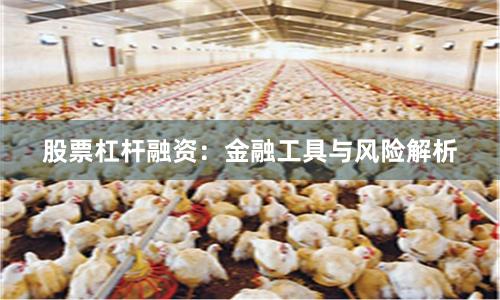 股票杠杆融资：金融工具与风险解析